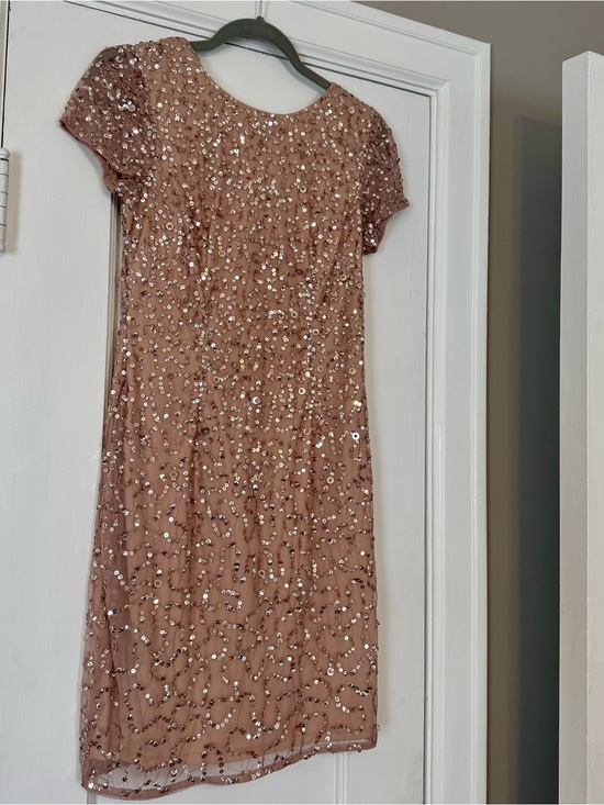 Adrianna Papell Dresses & Skirts - Adrianna Papell Sequin-Embellished Short Sleeve Dress in Rose